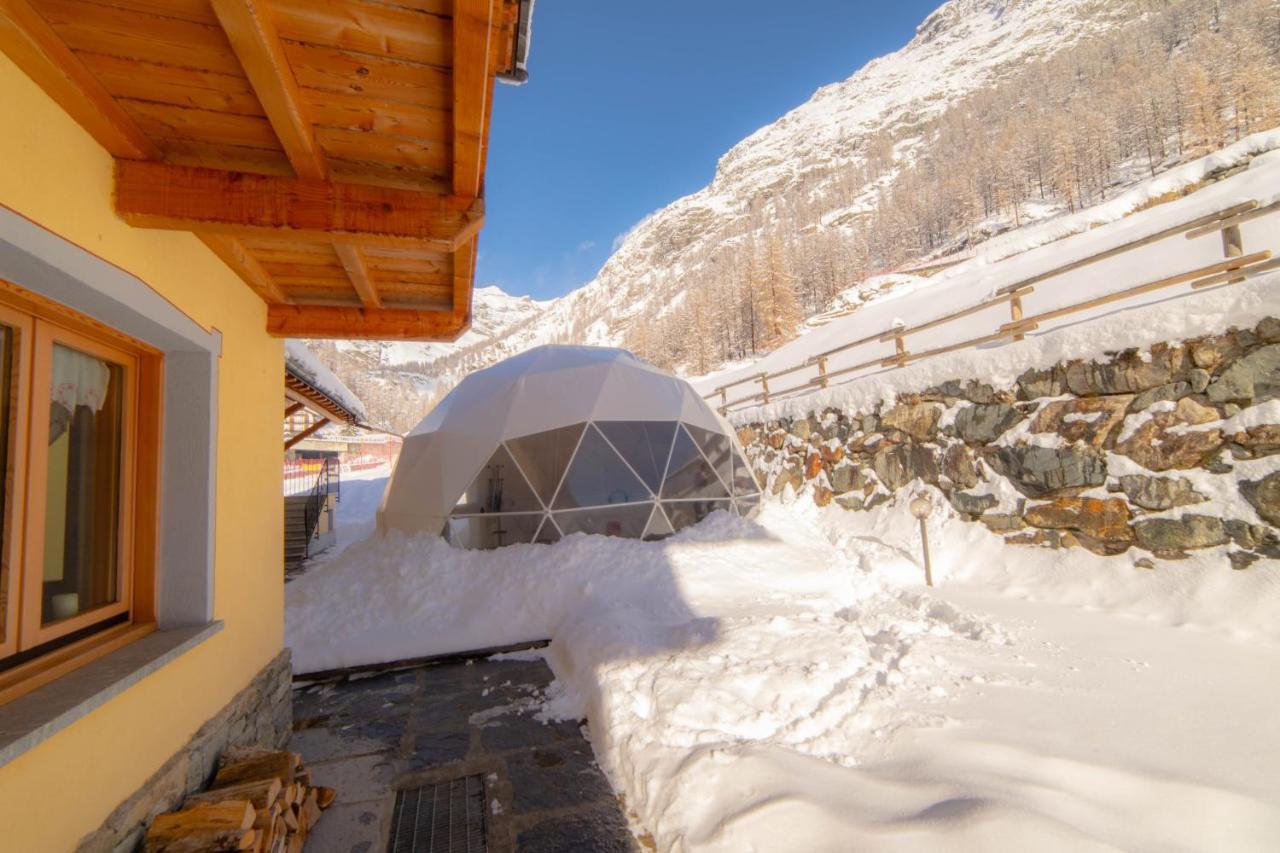 Walsertal Residence Gressoney-la-Trinité Esterno foto
